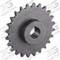 TRITAN Roller Chain Sprocket: 100, For 1 1/4 in Chain Pitch, 2 in Bore Dia, 24 Teeth, Steel (MPN 100BS24H X 2). Key specifications — Brand: TRITAN.