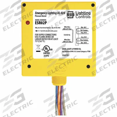 RIB Enclosed Pre-Wired Relay: 20 A Rating, DPDT - Emergency Lighting Bypass/Shunt Relays