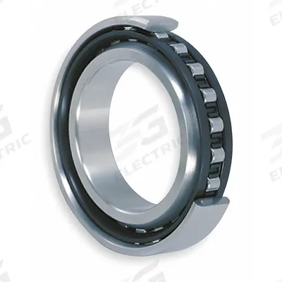 NTN Cylindrical Roller Bearing: 206, 30 mm Bore, 62 mm OD, 16 mm Overall Wd - High-Clearance Cylindrical Roller Bearings