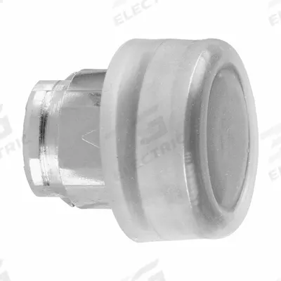 SCHNEIDER Flush Push Button: Black, 22 mm Mounting Size, Metallic - Flush-Mount & Recessed Push-Button Operators