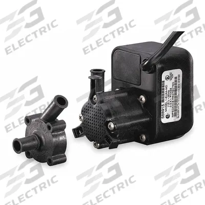 LITTLE GIANT Magnetic Drive Pump: 115V AC, Single Phase, 1/2 in - Magnetic Drive Submersible Centrifugal Pumps