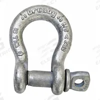 CROSBY Anchor Shackle: Anchor Shackle, 42,000 lb Working Load Limit, 2 1/4 in Wd Between Eyes (MPN G-209A). Key specifications — Body Color: Silver; Brand: CROSBY.