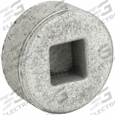 APPLETON ELECTRIC Blank Plugs - Haz Loc: Iron, Electroplated, 2 in Trade Size, NPT - Hazardous Location Blank Plugs