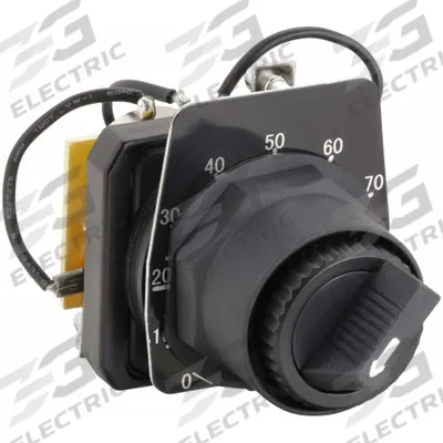 Dayton Potentiometer: 30 mm Panel Mounting Size, 5,000 ohm Max Resist Rating - Potentiometers with Dial Plates & Operators