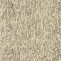 ARMSTRONG FLOORING Vinyl Floor Tiles: Beach, Excelon SDT, 12 in Tile Wd, 45 sq ft Coverage Area (MPN 51960031). Key specifications — Color: Beach; Brand: ARMSTRONG FLOORING.