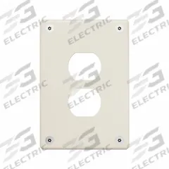 LEGRAND Wall Plate: Duplex Outlet, 1 Gang, Ivory, Jumbo Size (MPN WSP31D1IVYPS). Key specifications — Brand: LEGRAND; Material: Stainless Steel; Includes: Torx Security Screws.