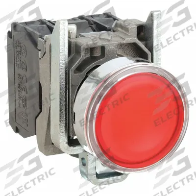 SCHNEIDER Illuminated Push Button: Illuminated, Flush Profile, Metallic, 22 mm - Illuminated Flush-Mount Push Buttons