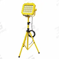 LIND EQUIPMENT Flood Light: 24,000 lm Max Brightness, LED, 1, 1 Brightness Levels, 1 Lamp Heads (MPN XP980LED-TR). Key specifications — Frame Color: Yellow; Lighting Technology: LED; Operating Voltage: 90 to 277V AC; Brand: LIND EQUIPMENT; No. of Brightness Levels: 1.