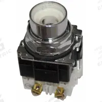 EATON Extended Push Button: 30 mm, Non-Metallic, Momentary, Full Volt, LED (MPN E34CB497L). Key specifications — Action: Momentary; Brand: EATON; Series: E34; Push Button Material Type: Non-Metallic.
