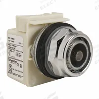 SCHNEIDER ELECTRIC Pilot Light: 30 mm Panel Mounting Size, No Lens Included, Incandescent (MPN 9001KP38). Key specifications — Lens Color: No Lens Included; Series: 9001K; Brand: SCHNEIDER; Includes Push-To-Test: No Push-To-Test Included.