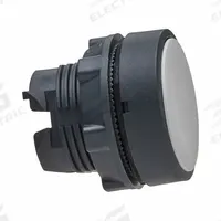 SCHNEIDER Flush Push Button: 22 mm Mounting Size, Non-Metallic, Maintained (MPN ZB5AH01). Key specifications — Brand: SCHNEIDER; Action: Maintained; Series: XB5; Push Button Material Type: Non-Metallic.