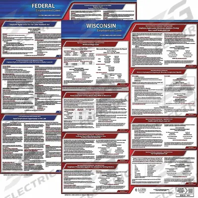JJ KELLER Labor Law Poster: WI, English, Plastic, 20 in x 24 in - State & Federal Labor Law Poster Sets