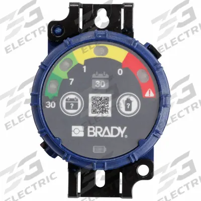 BRADY Inspection Timer: 30 day Inspection Intervals, Dark Green/Light Green/Red/Yellow - Inspection Timers