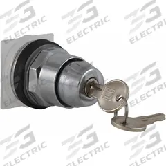 SCHNEIDER ELECTRIC Keyed Selector Switch: 2 Position, 30 mm Panel Mounting Size, Series 9001K (MPN 9001KS25K2). Key specifications — Manufacturer Part Number: 9001KS25K2; Brand: SCHNEIDER; Switch Action: Momentary/Maintained; Key Removal Position: Right.