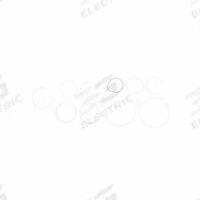FILL-RITE Teflon Seal Kit: Teflon Seal Kit, Fill-Rite, (2) Gaskets/(9) O-Rings (MPN SK30PTF-V06) - Pumps