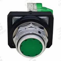 DAYTON Flush Push Button Operator: Non-Illuminated, Flush Profile, Metallic, 30 mm, 1NO (MPN GGS_116337). Key specifications — Brand: DAYTON; Action: Momentary; Push Button Material Type: Metallic.