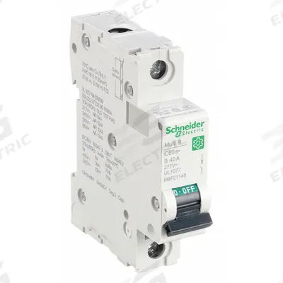 SCHNEIDER Supplementary Protector: 40 A Amps, 60V DC, 10kA at 120/240V AC, Screw Clamp - B-Curve, 1-Pole UL1077 DIN Rail-Mount Supplementary Protectors