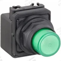 DAYTON Pilot Light: 30 mm Panel Mounting Size, Green, LED, 24 V AC/DC Max Volt Rating (Supply) (MPN 30G387). Key specifications — Series: Dayton; Brand: DAYTON; Includes Push-To-Test: No Push-To-Test Included.