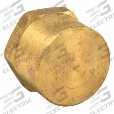 PARKER Cap: Hex Drive Cored Cap, 3/8 in, NPT Threaded, 1,000 psi, 5/8 in Lg - Threaded High-Pressure Pipe Fittings