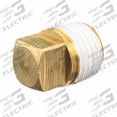 APPROVED VENDOR Plug: Square Drive Cored Plug, 2 in, NPT Threaded, Class 125, C89833 Brass - Threaded Low-Pressure Pipe Fittings for Potable Water with Thread Sealant