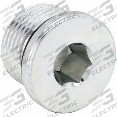 PARKER Plug: Plug, Steel, 18 mm, Threaded - Hydraulic Threaded Extreme-Pressure Pipe Fittings