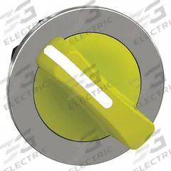 SCHNEIDER ELECTRIC Short-Handled Selector Switch: 30 mm Panel Mount Size, 2 Positions, Series XB4 (MPN ZB4FD205). Key specifications — Action: Maintained/Maintained; Cam: No Cam Included; Brand: SCHNEIDER; Switch Bezel Material Type: Metallic.