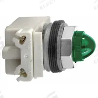 SCHNEIDER Illuminated Push Button: Illuminated, Flush Profile, Non-Metallic, 30 mm, SPDT (MPN 9001SK1L38LGGH13). Key specifications — Brand: SCHNEIDER; Action: Momentary; Series: 9001SK; Push Button Material Type: Non-Metallic.