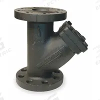 MUELLER STEAM SPECIALTY Y Strainer: 3 in, Flanged, Perforated, 0.062 in Screen Size, Cast Iron (MPN 3 752 Iron body flanged). Key specifications — Brand: MUELLER STEAM SPECIALTY; Seal Material: Non-Asbestos; Manufacturer Part Number: 3 752 Iron body flanged; Screen Material: 304 Stainless Steel.