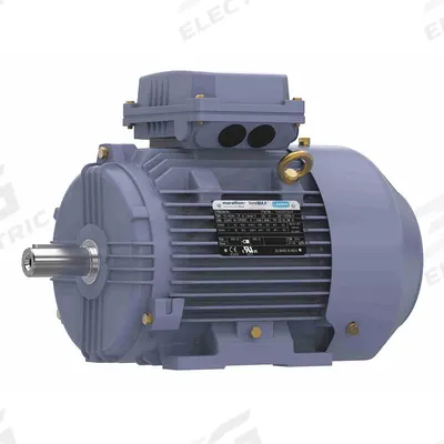 MARATHON MOTORS Metric Motor: 3 hp, Rigid Base Mount, 100L Frame Size - Rigid Base 3-Phase IEC Metric General Purpose AC Motors