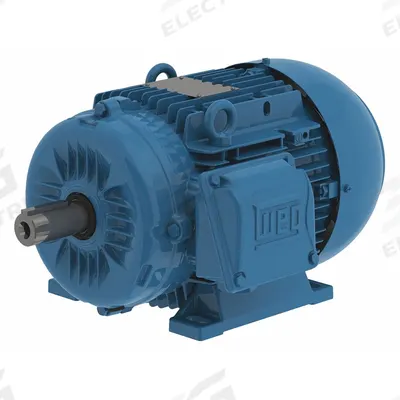 WEG Metric Motor: 10 hp, Rigid Base Mount, 132M Frame Size, Totally Enclosed Fan Cooled - Rigid Base 3-Phase IEC Metric General Purpose AC Motors