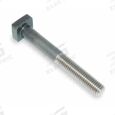 TE-CO T-Bolt: Stainless Steel, For 1/2 in Slot, 1/2"-13 Thread - Square-Head T-Bolts