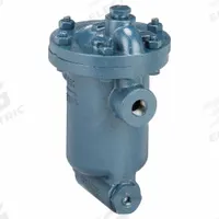 Steam Trap: Cast Iron, 1/2 in FNPT, 2,000 lb/hr, 125 psi Max., 450°F Max., Strainer Included (MPN 882-050-125). Key specifications — Installation Orientation: Horizontal; Brand: ARMSTRONG INTERNATIONAL; Configuration: In-line.