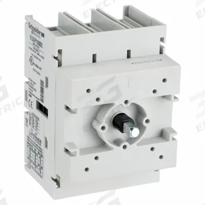 SCHNEIDER Disconnect Switch: 100 A Current Rating - Disconnect Switch Bodies