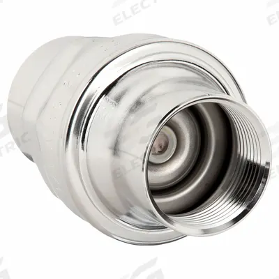 BONOMI Check Valve: Swing, Inline Valve Body, 2 in Pipe Size, FNPT x FNPT, 316 Stainless Steel - 316 Stainless Steel Inline Disc Check Valves