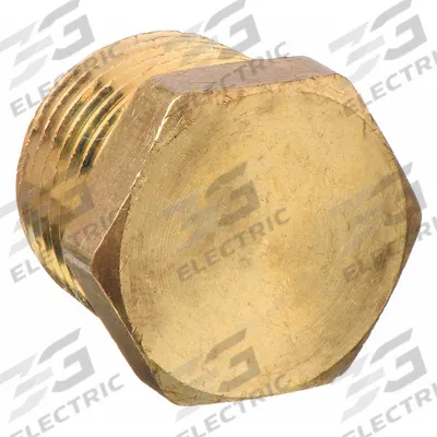 APPROVED VENDOR Plug: Hex Drive Solid Plug, 1/4 in, NPT Threaded, 1,000 psi - Threaded High-Pressure Pipe Fittings