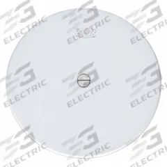 ZURN Cover: 5 in Overall Dia, 1/8 in Overall Ht, Stainless Steel, Unfinished, Gray, Screw-In (MPN CO2530-SS5). Key specifications — Color: Gray; Brand: ZURN; Finish: Unfinished; Includes: Securing Screw.