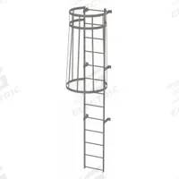 TRI-ARC Fixed Ladder with Safety Cage: 12 ft Overall Ht, 18 in Overall Wd, Steel, 13 Rungs (MPN WLFC1113). Key specifications — Brand: TRI-ARC; Assembly: Assembled; Number of Sections: 1.