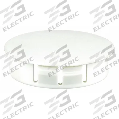 APPROVED VENDOR Hole Plug: Nylon, For 2 in Hole Dia, 2.14 in Head Dia - No Web Parent
