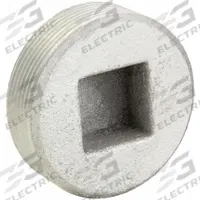 Blank Plugs - Haz Loc: Iron, Electroplated, 3 in Trade Size, NPT, Male to Male (MPN PLG-300). Key specifications — Brand: APPLETON ELECTRIC.
