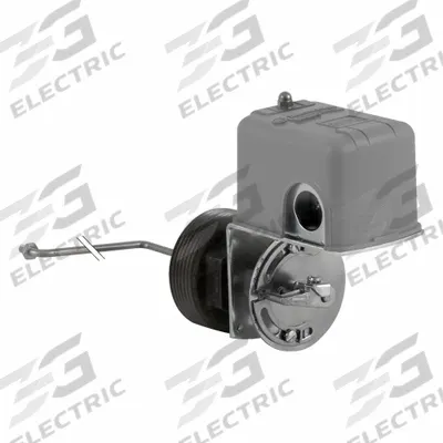 TELEMECANIQUE SENSORS Liquid Level Switch: Close On Rise, DPST-2NC - Side-Mounted Float Switches