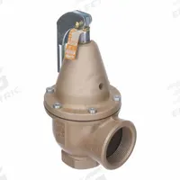 WATTS Pressure Relief Valve: FNPTF x FNPTF, 1 1/2 in x 2 in, Iron, 75 psi Max. Op Pressure (MPN F383742). Key specifications — Brand: WATTS.