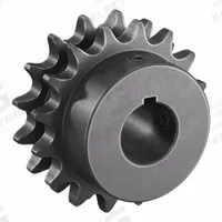 TRITAN Roller Chain Sprocket: 40-2, For 1/2 in Chain Pitch, 7/8 in Bore Dia, 16 Teeth, Steel (MPN D40BS16H X 7/8). Key specifications — Brand: TRITAN.