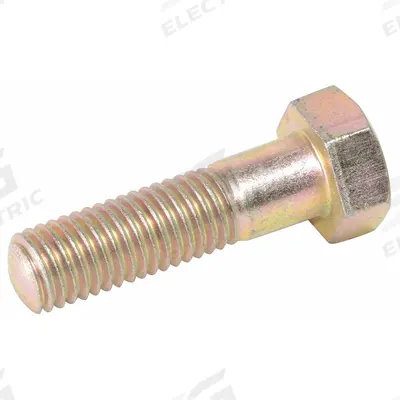 Dayton Bolt: Bolt, Stainless Steel - Hardware