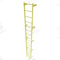 TRI-ARC Ladder,Steel,Standard Fixed,17-Rung: 17 ft Overall Ht, 25 in Overall Wd, Steel, 17 Rungs (MPN WLFS0117-Y). Key specifications — Brand: TRI-ARC; Number of Sections: 1.