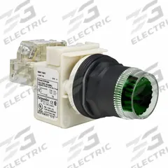 SCHNEIDER Flush Push Button: Green, 30 mm Mounting Size, Non-Metallic, Momentary (MPN 9001SK1L1G). Key specifications — Brand: SCHNEIDER; Action: Momentary; Series: 9001SK; Push Button Material Type: Non-Metallic.