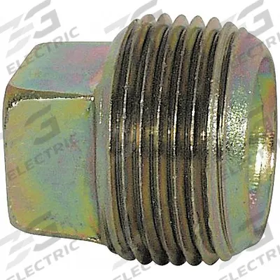 APPROVED VENDOR Plug: Square Drive Plug, Carbon Steel, 1 in - Threaded Extreme-Pressure Pipe Fittings