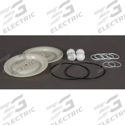 Dayton Fluid End Repair Kit: Fluid End Repair Kit, 22A623, Hytrel - Dayton Fluid-End Repair Kits