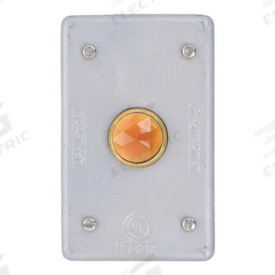 APPLETON ELECTRIC Weatherproof Cover: Malleable Iron, FD/FS, Pilot Lamps, 1 Gangs - Iron Weatherproof Electrical Box Covers