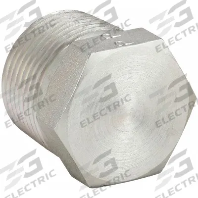 PARKER Plug: Plug, Steel, 1 in, NPT Threaded - Hydraulic Threaded Extreme-Pressure Pipe Fittings