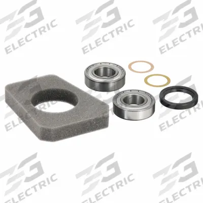 FUJI ELECTRIC Rebuild Kit: RCKIT600, Rebuild Kit - Regenerative Blower Replacement Parts